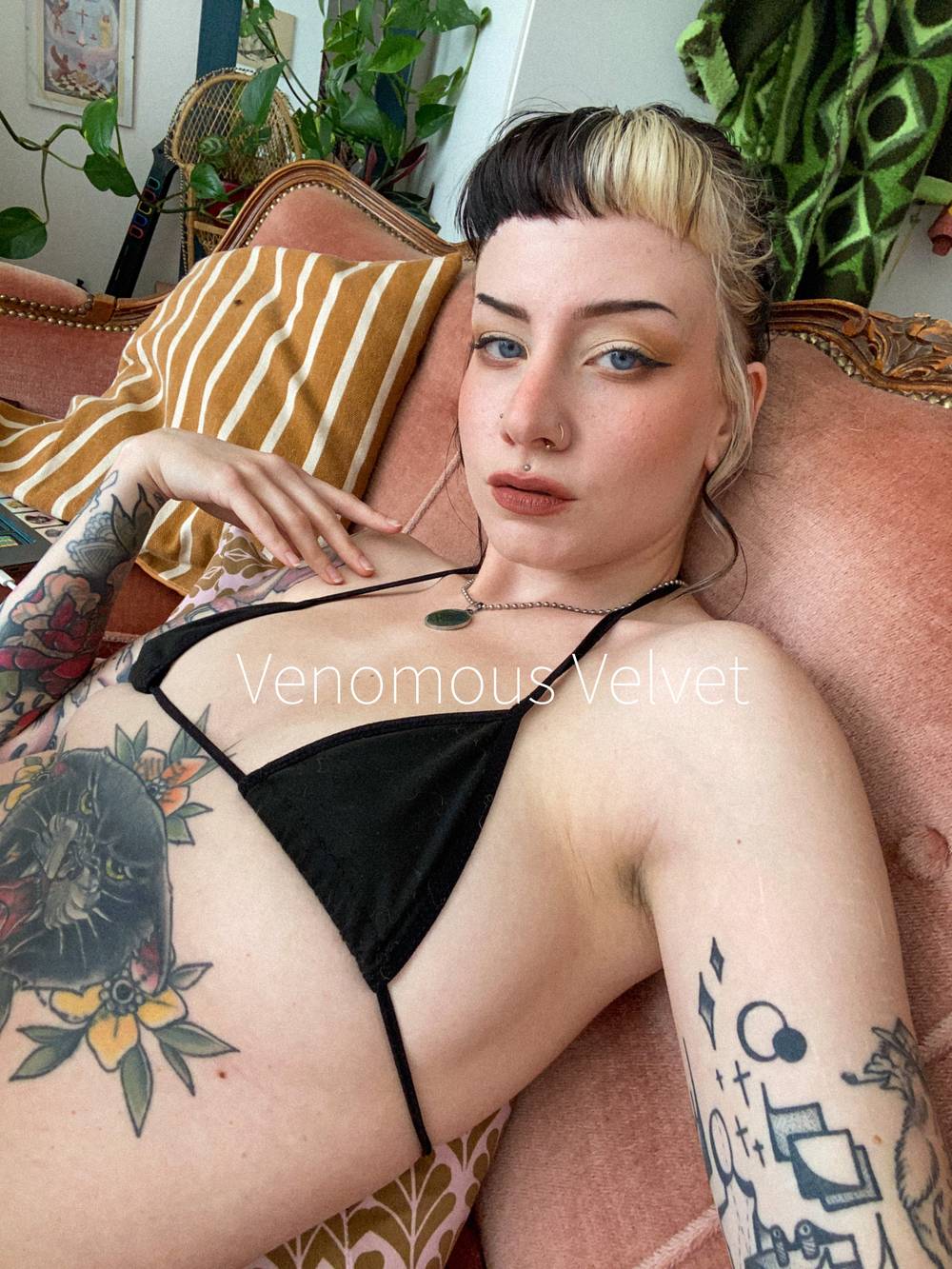 Venomous Velvet OnlyFans – free nudes, naked, leaked