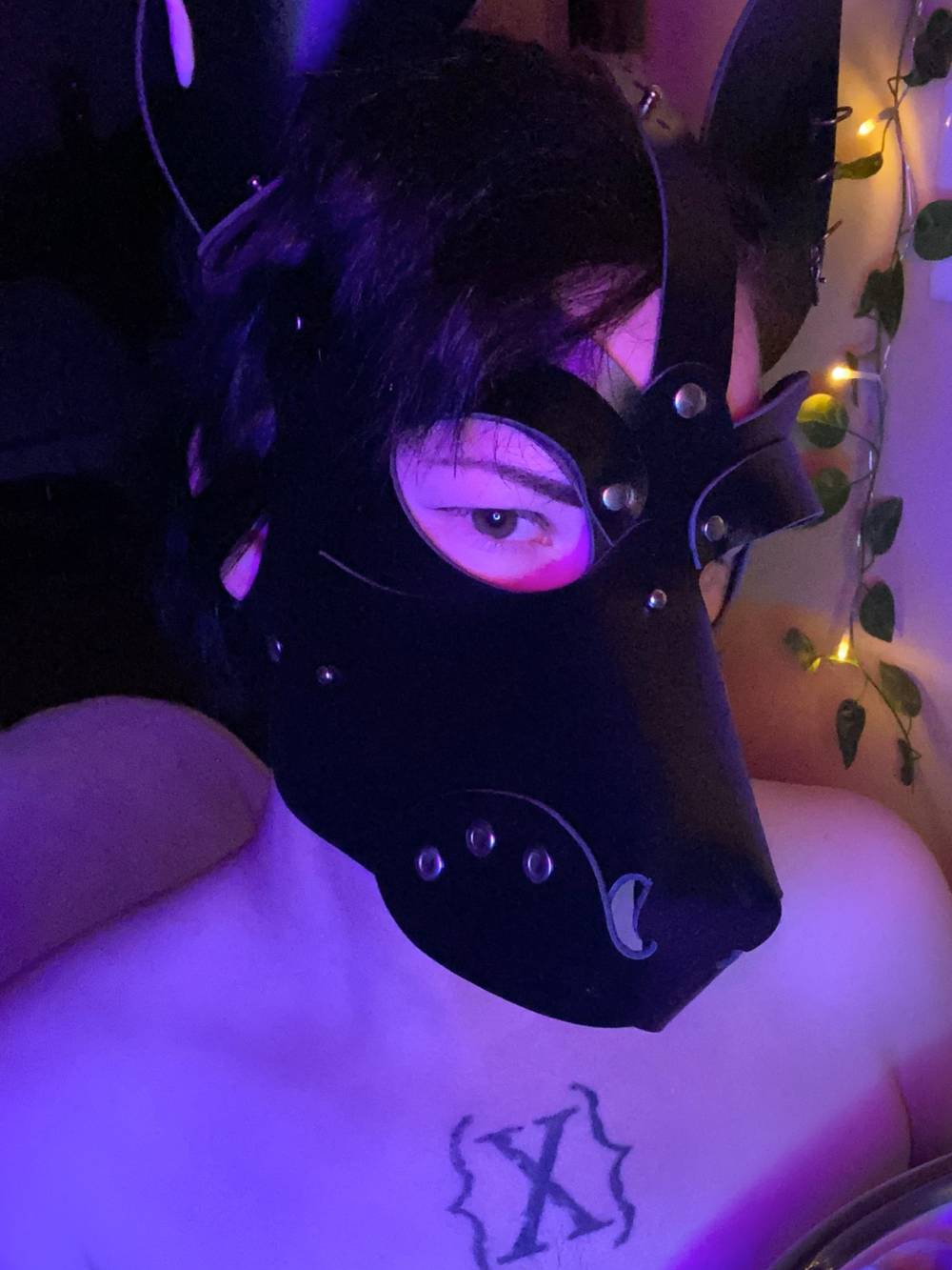 Pup Moth [Free Page] OnlyFans – free nudes, naked, leaked