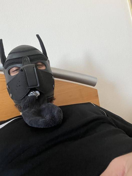 Masked Doggy OnlyFans – free nudes, naked, leaked