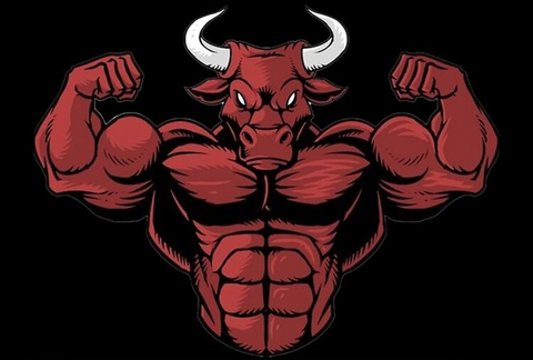 Musclebull1