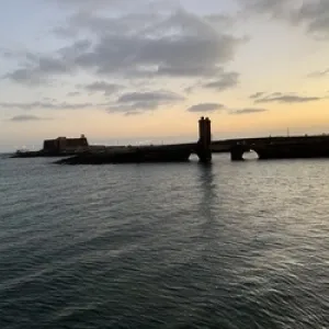 hungstallion OnlyFans – free nudes, naked, leaked