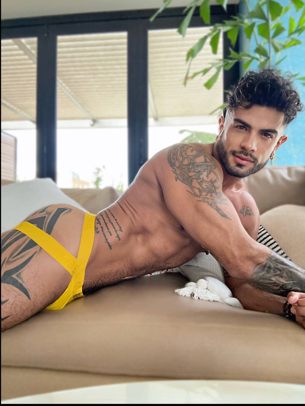 DAVID CANO