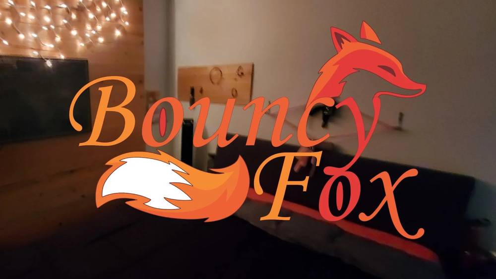 Bouncy fox