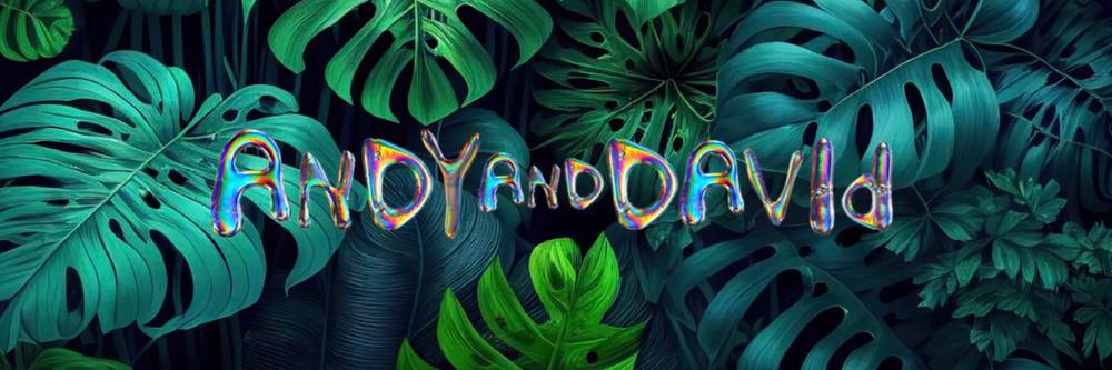 Andy &amp; David