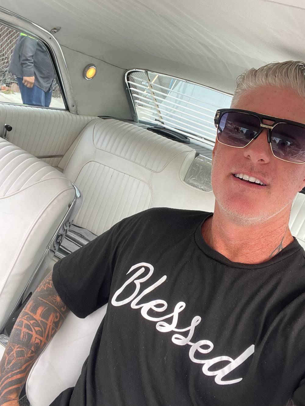 Fantastic Mr Silverfox