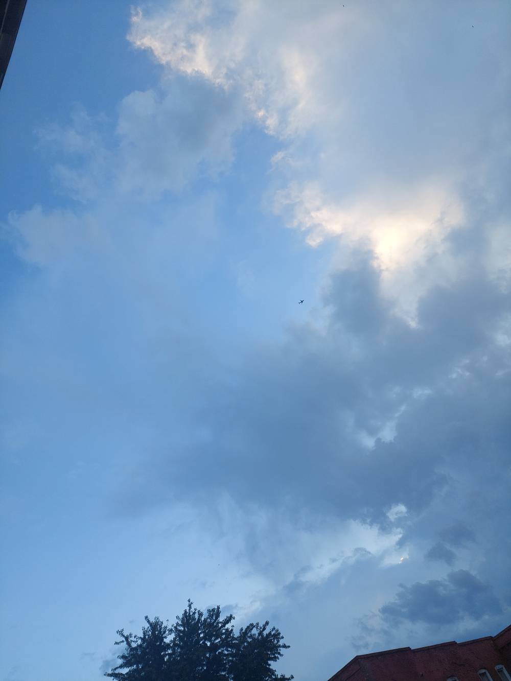 Hazel's Poetic Shadow