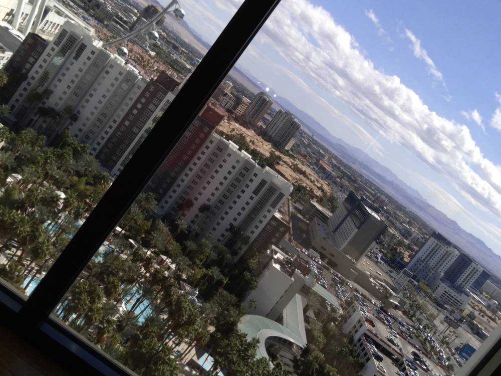 Deishne Lynn Johnson