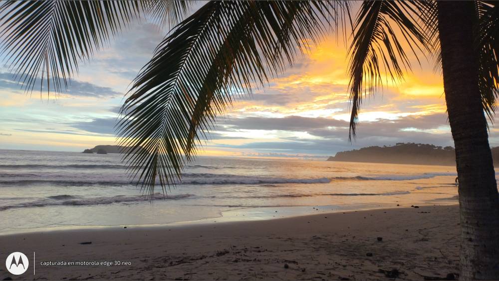 BRANDON JOSUE MENA VARGAS