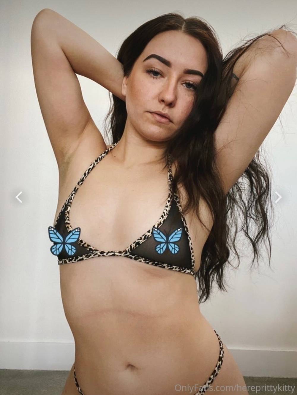 PrittyKitty