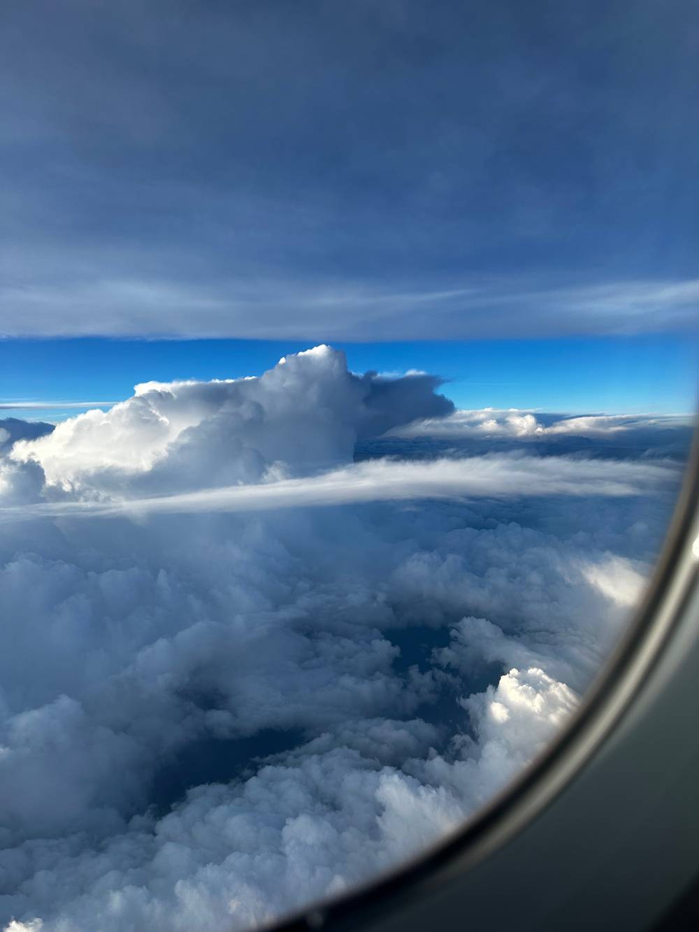 ✧༺ Harper ༻✧