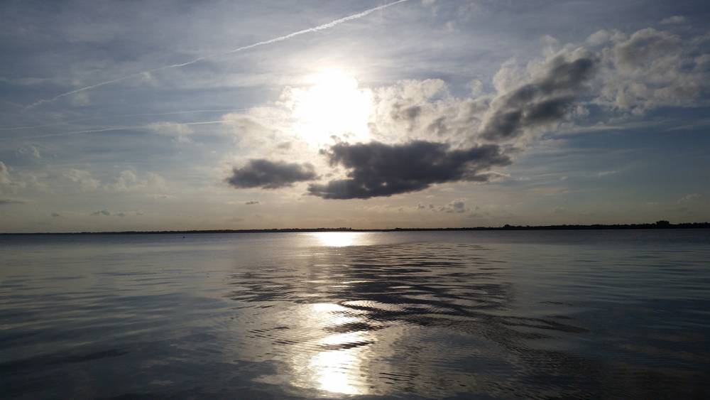 Sexual Chocolate Jax