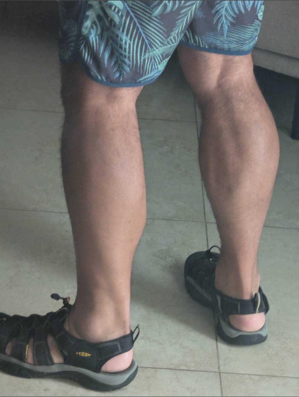 MrCalves