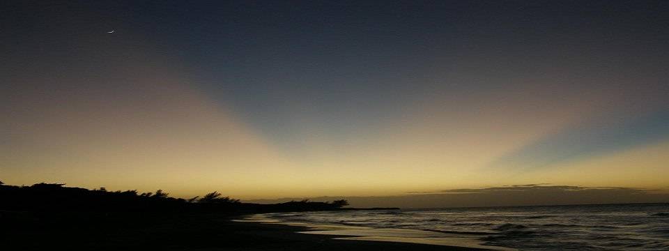 Marti025 (leaving in early march)