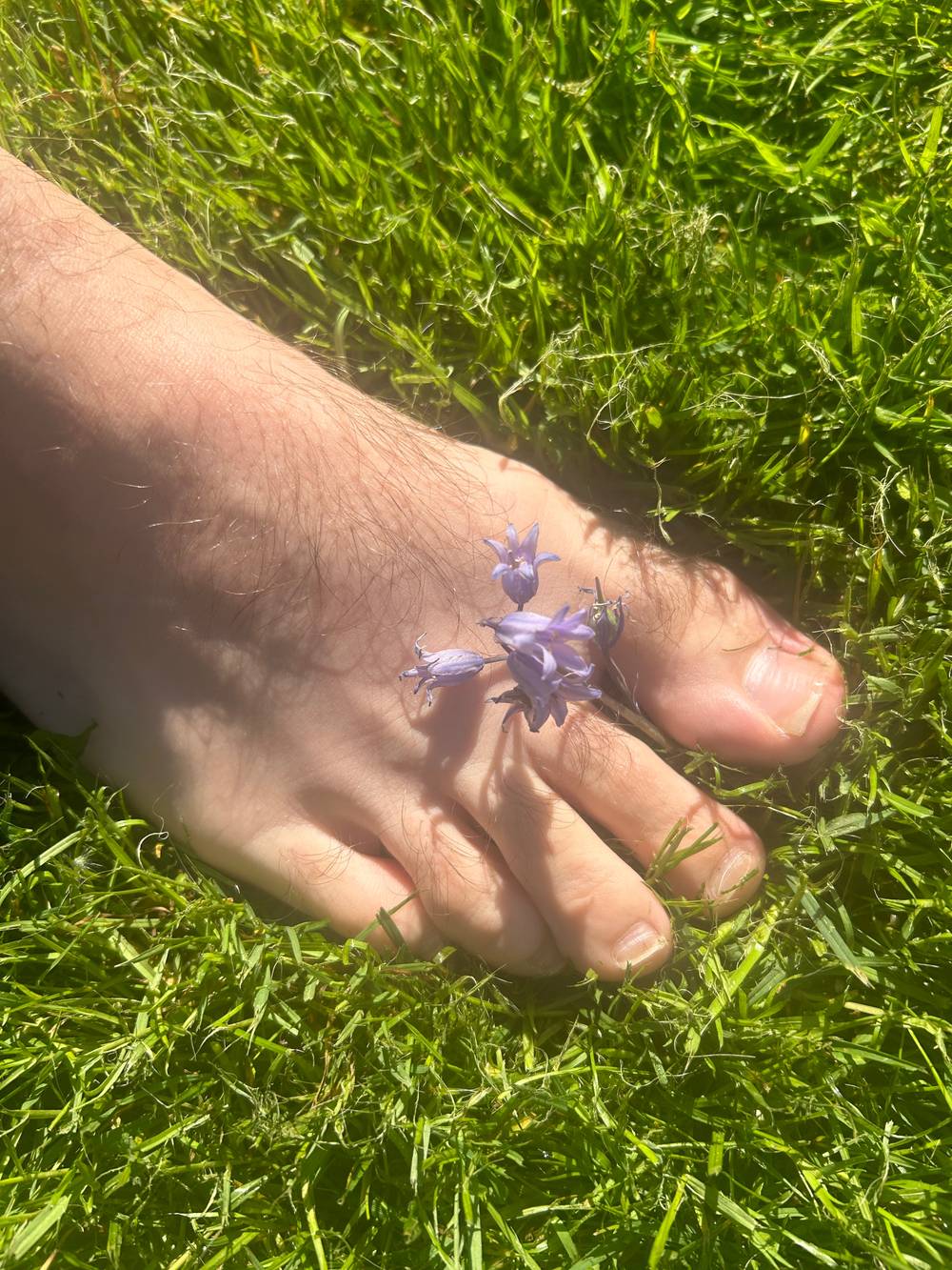 El senor pies peludos