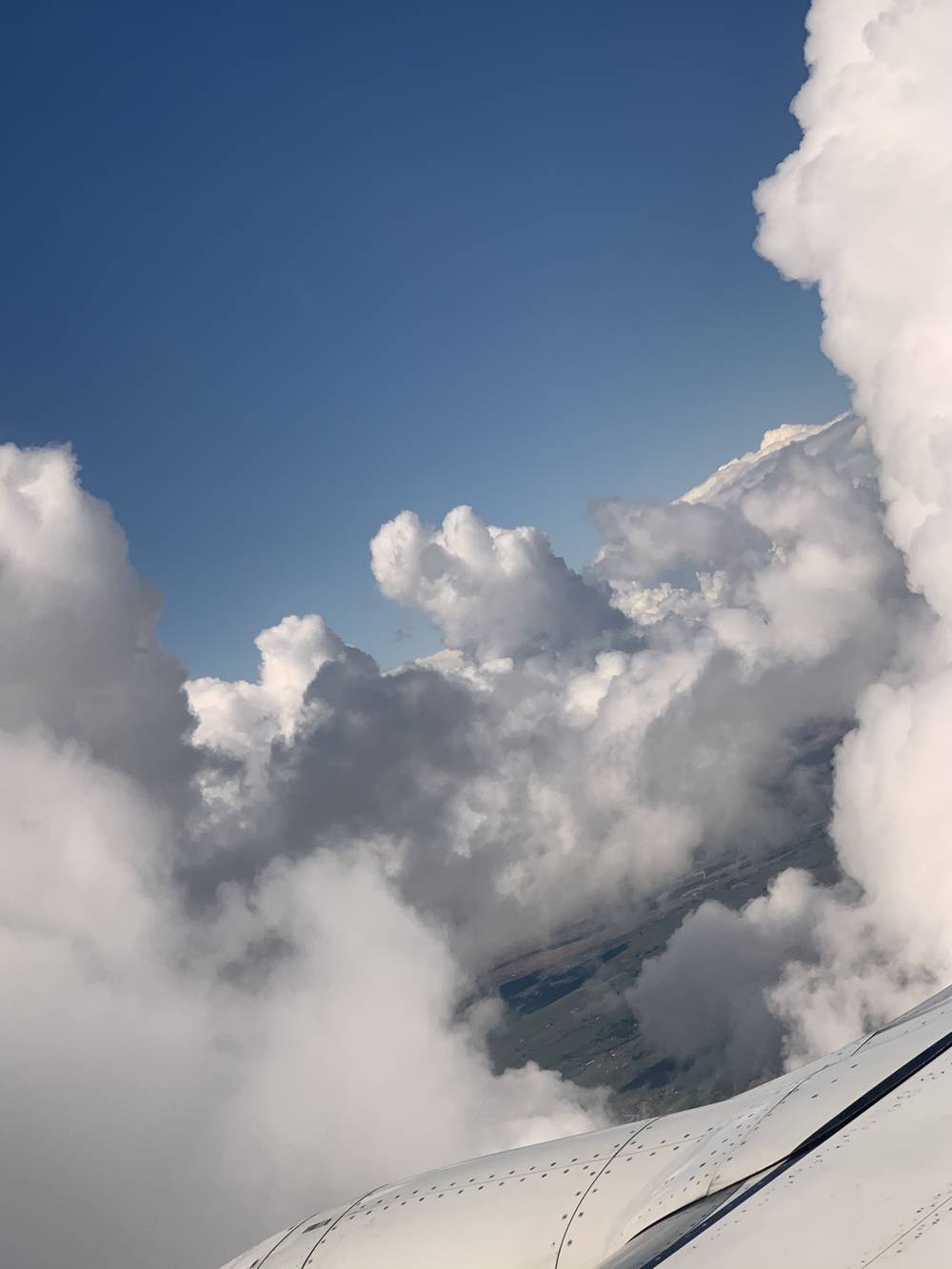 his/her favorite ‼️