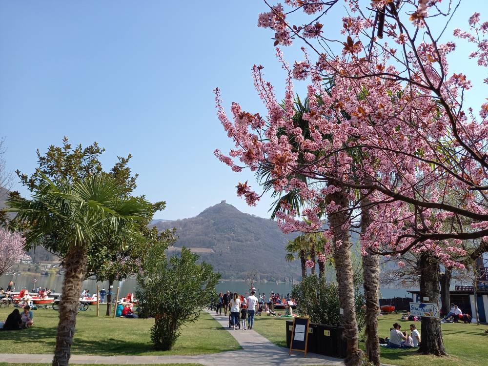 MtBike and Biketravel SouthTirol