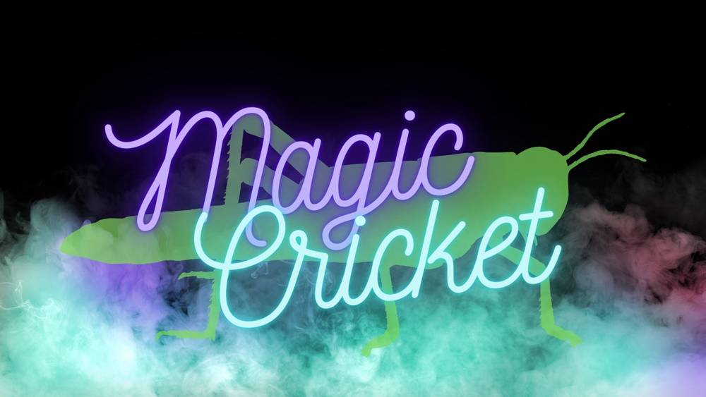 Magic Cricket