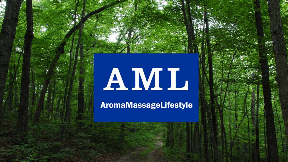 AML Massage 마사지 マッサージ