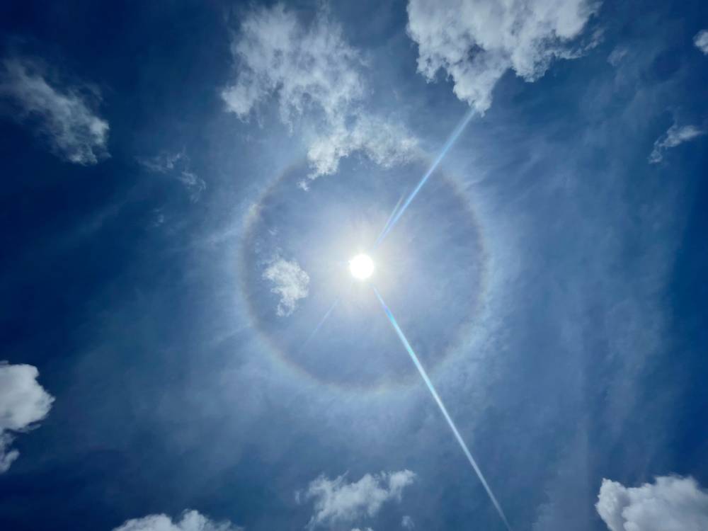 Dream Twins Free Account