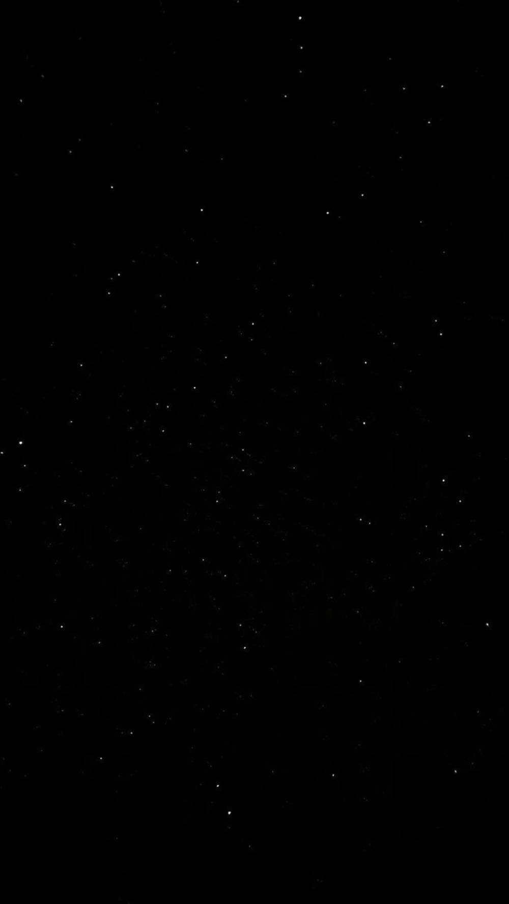 ❄️Sydswrld444❄️